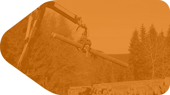 Knuckleboom Loaders and Log Stackers 
