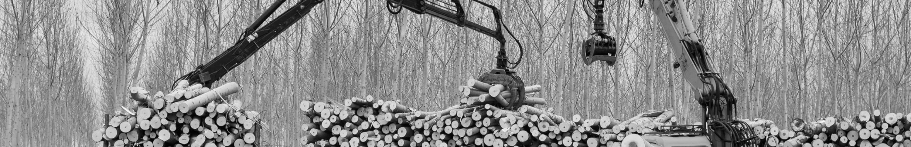 Sears forwarder seating solutions. Picture of two fowarders in action.