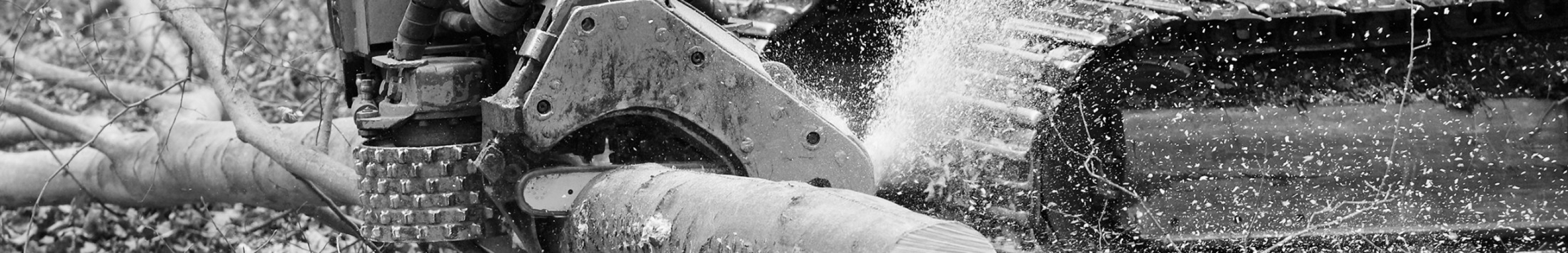 Image of Forestry Harvester